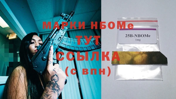 хмурый Горняк